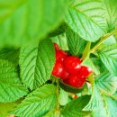 새하양세탁소 이미지