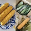 ㈜괴산청천절임배추 영농조합법인 | 밭에서 수확한것만 배송한다는 &lt;괴산영농조합법인 생초당옥수수&gt; 후기｜초당옥수수 보관방법 섭취방법...