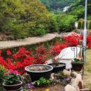사랑채펜션 - 용인시 처인구 해실로46번길 35 | 사랑채펜션