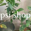 사심샵