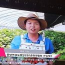 김이순농장 이미지