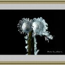 친구사이 이미지