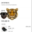 C11 | 직장인 신발 코디 / 내돈내산 킨치 FLOW-C11 후기