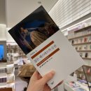 명문장 | 젊은 베르테르의 슬픔 줄거리 리뷰 명문장｜괴테 고전소설 다시 읽은 후기