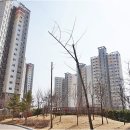 디자인시티블루밍 이미지