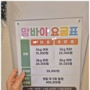 서면애견미용 맘바이 강아지 미용실 이미지