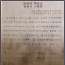 팔공산 아래의 거대한 약사여래불 대구 동화사