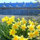 연포가든 이미지