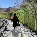 K-water 소양강댐지사 | 소양강댐 여행 코스 푸른빛의 물 기운으로 새해 소망 품기