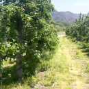 유봉2농장 이미지