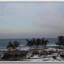 다우리조텔 이미지