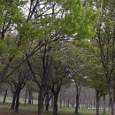 (주)오월의아침 이미지