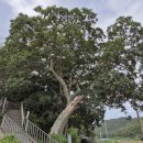 중화동-022 이미지