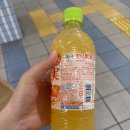 대환유통 | [리뷰] 일본 편의점 음료 산토리 키릿토 카지츠 오렌지 망고 기대 이하였던 솔직 후기