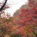 내장산약국 이미지