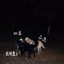 24시 안박동물병원 이미지