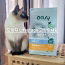유카라이프 | 오아지 라이프스테이지 어덜트치킨 고양이사료추천 기호성과 장건강 한번에