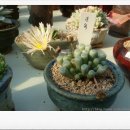 진원농장2 이미지