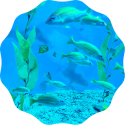 왕피천유역 생태탐방로(3코스) | 울진 왕피천공원 아쿠아리움 내돈내산 관광지 추천(주차, 할인팁 공유)