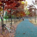 어느가을 오후 이미지