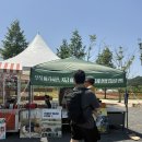 장애인 | 포천 한탄강 가든페스타 후기｜뽀로로 포토존 있는 봄꽃축제 | 19개월 아기