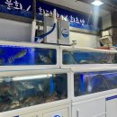 금천회마을 이미지