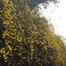 공동기획 뮤직드라마「올 더 웨이」 | 추억의 명곡들로 만나는 1950 그 시절의 이야기-- 11.11~12 뮤직드라마 <올 더 웨이> --