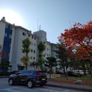 유가약품 | 노원구 월계동하수구막힘 유가막힘 뚫어뚫음 현장, 배관 속 이물질 깔끔 제거한 후기