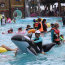 해수식당 이미지