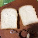 오늘의 식빵