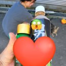 남양주 실내 바다낚시터 | 남양주 실내 바다 낚시터 추천 고고 [남양주 락 실내 바다 낚시터]