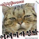 야야
