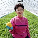 영농상회 이미지