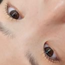 수아베뷰티 | 광주 북구 운암동 ㅣ 속눈썹펌이 이렇게 다를 줄이야! 광주 북구 ‘수아베 뷰티’ 첫 방문 후기