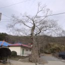 산뒤 마을 이미지