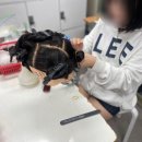 헤어미용(자격증) | 남양주미용학원 헤어 국가자격증 수업 듣는 후기