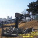 최정걸 장군 묘 이미지