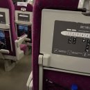 순천-08호 | 임신기록ㅣ19-20주차, 호떡이 영접, 코니 턱받이, 맘큐 허그박스, 배뭉침, 태동심함