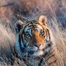 퀘렌시아 이미지