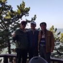 로글리대천통나무펜션리조트 이미지