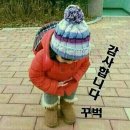 보안초 이미지