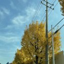 카페동네원종점 이미지