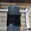 라이노스트렝스 이미지