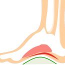 오케이 피트니스 서면점 이미지