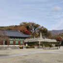 국도22호선 | 김제 모악산 금산사(金堤 母岳山 金山寺), 한산자(寒山子) 선시(禪詩) 1수.