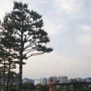 양주 평화의 소녀상 이미지