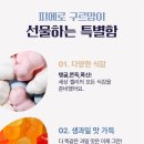 그레이트베어