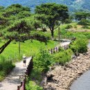 [남도정원 산책③] 구례, 여수, 순천, 화순 후기