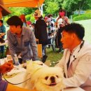 호서메디칼 이미지