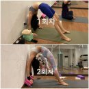 후굴 스트레칭 // 2회차